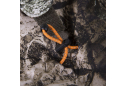 Костюм для полювання Camo-Tec StormwalL DWR Terra UA