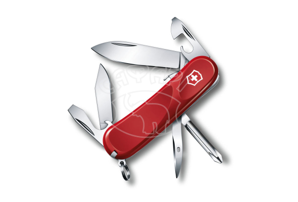 Мультитул Victorinox Delemont Evolution S111