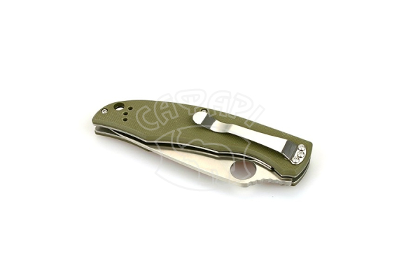 Нож складной Ganzo G732 green