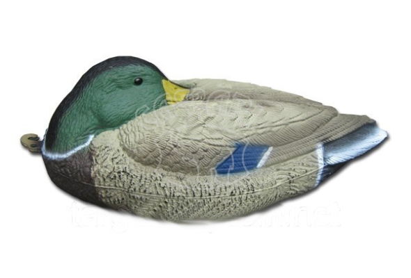 Опудало крижні Birdland самець спящий