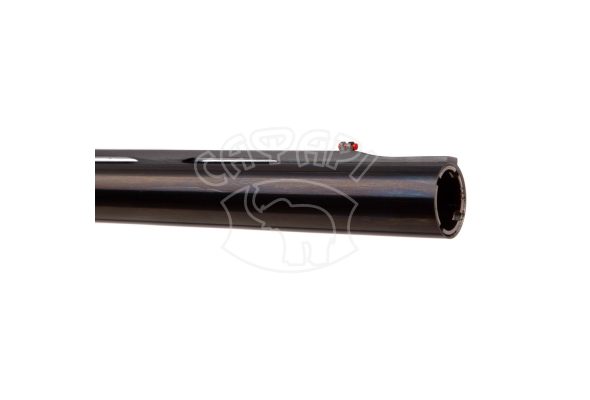 Рушниця Benelli SL80 Pasion кал. 12/76
